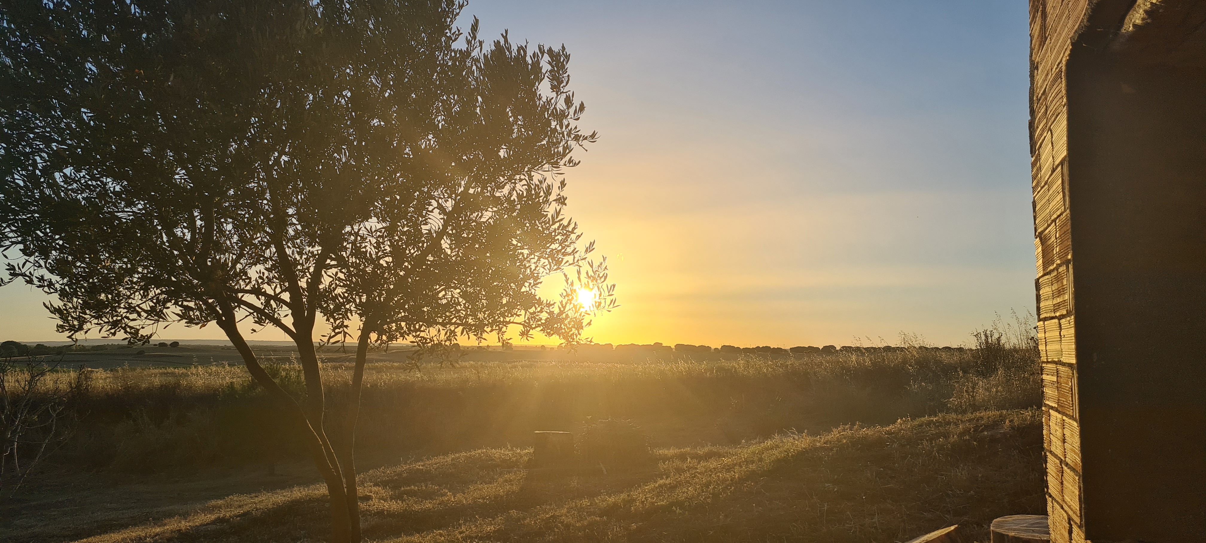 Desde las bodegas.