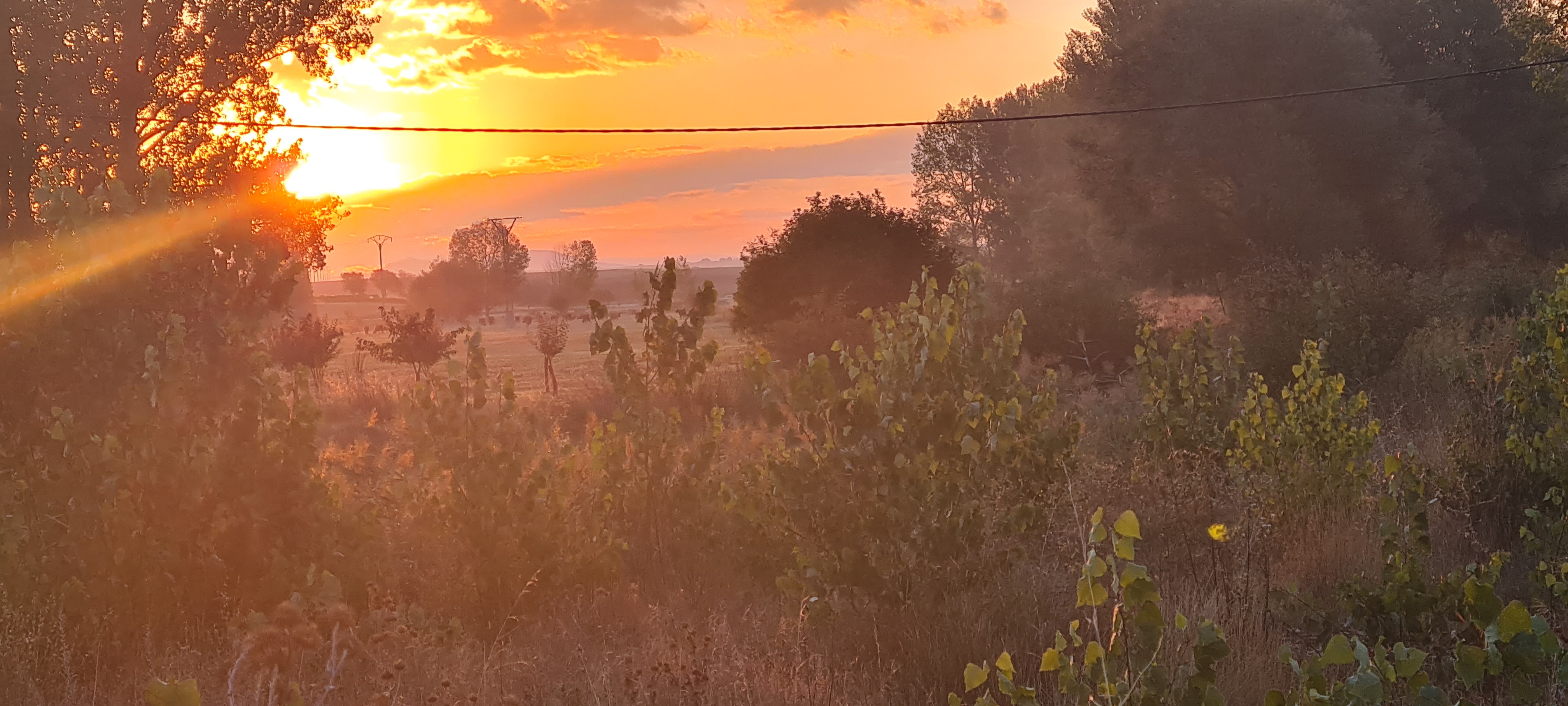 Un nuevo amanecer.