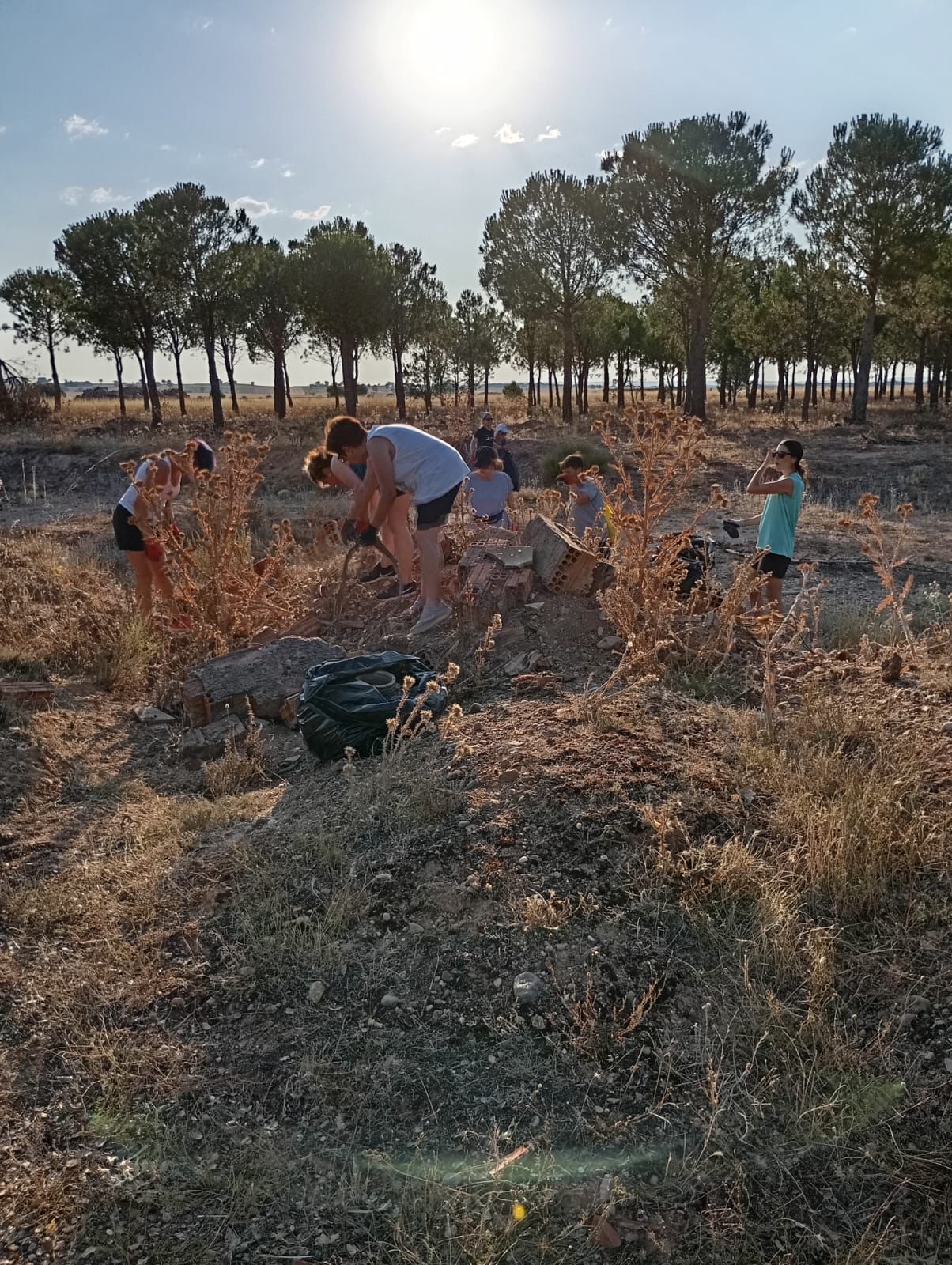 Voluntarias